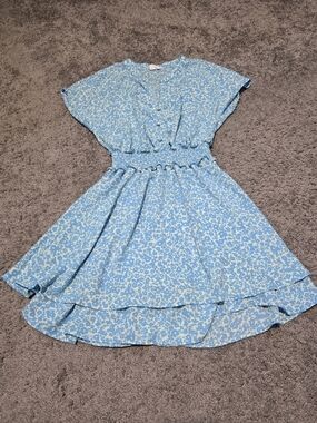 Sienna Sky Blue and White Floral V-Neck Dress